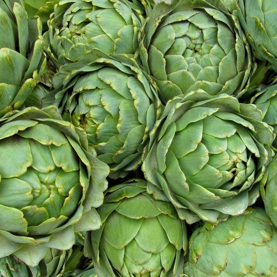 Artichoke