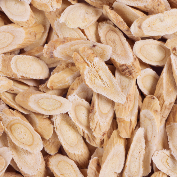 Astragalus Root
