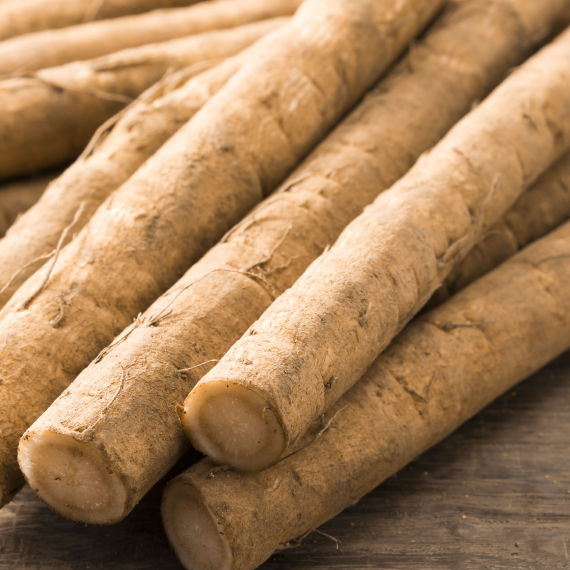 Burdock Root