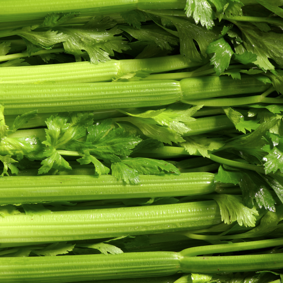 Celery
