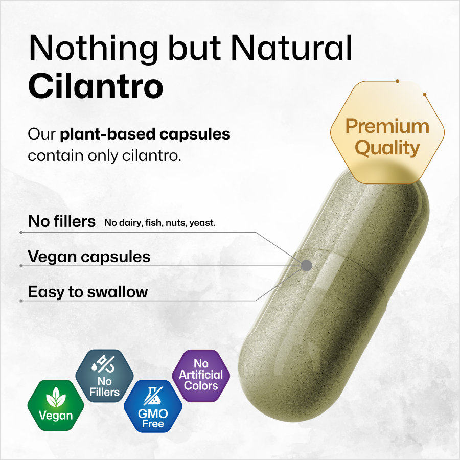 Cilantro Bundle