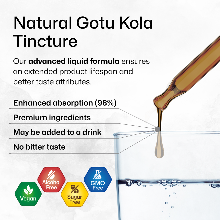 Gotu Kola + Bacopa Bundle