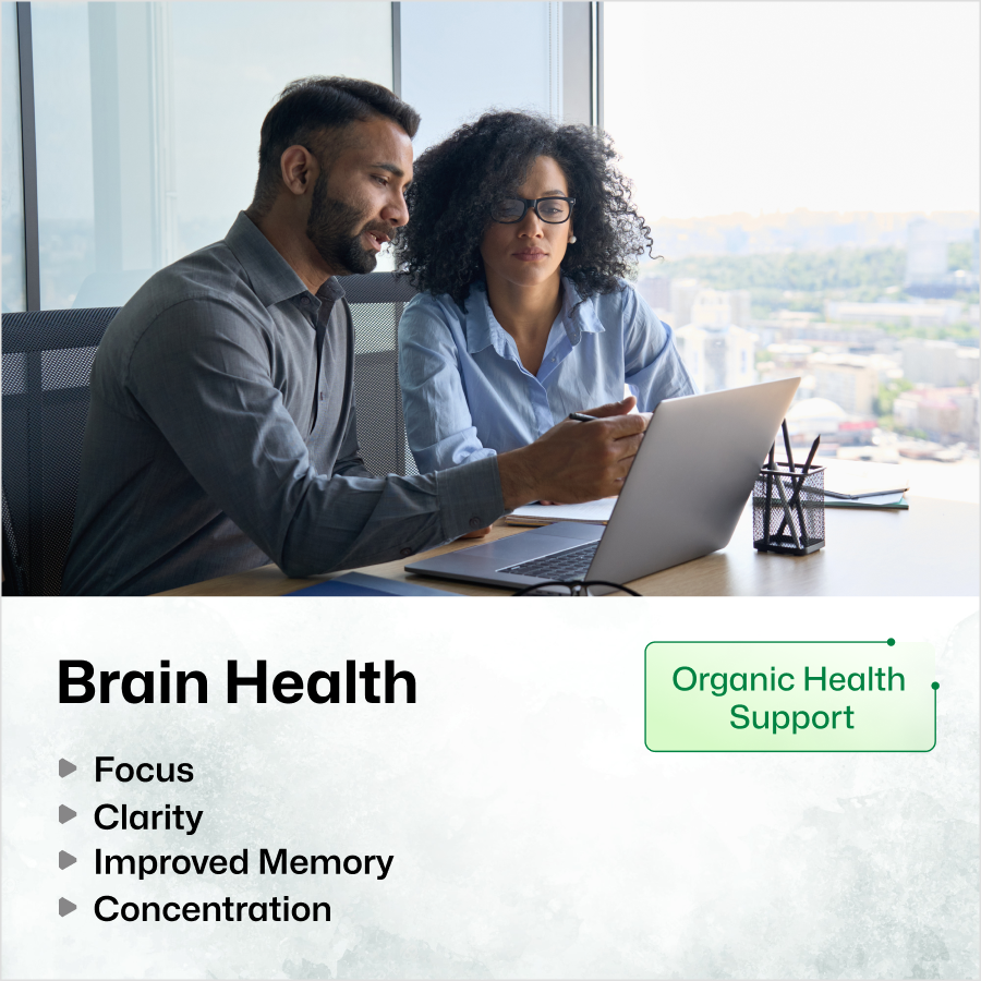 Brain Support Supplement - 100 Capsules