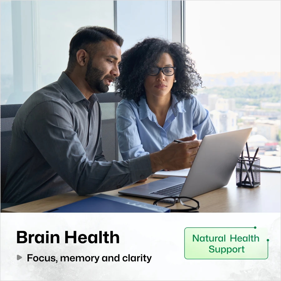Brain Support Gummies