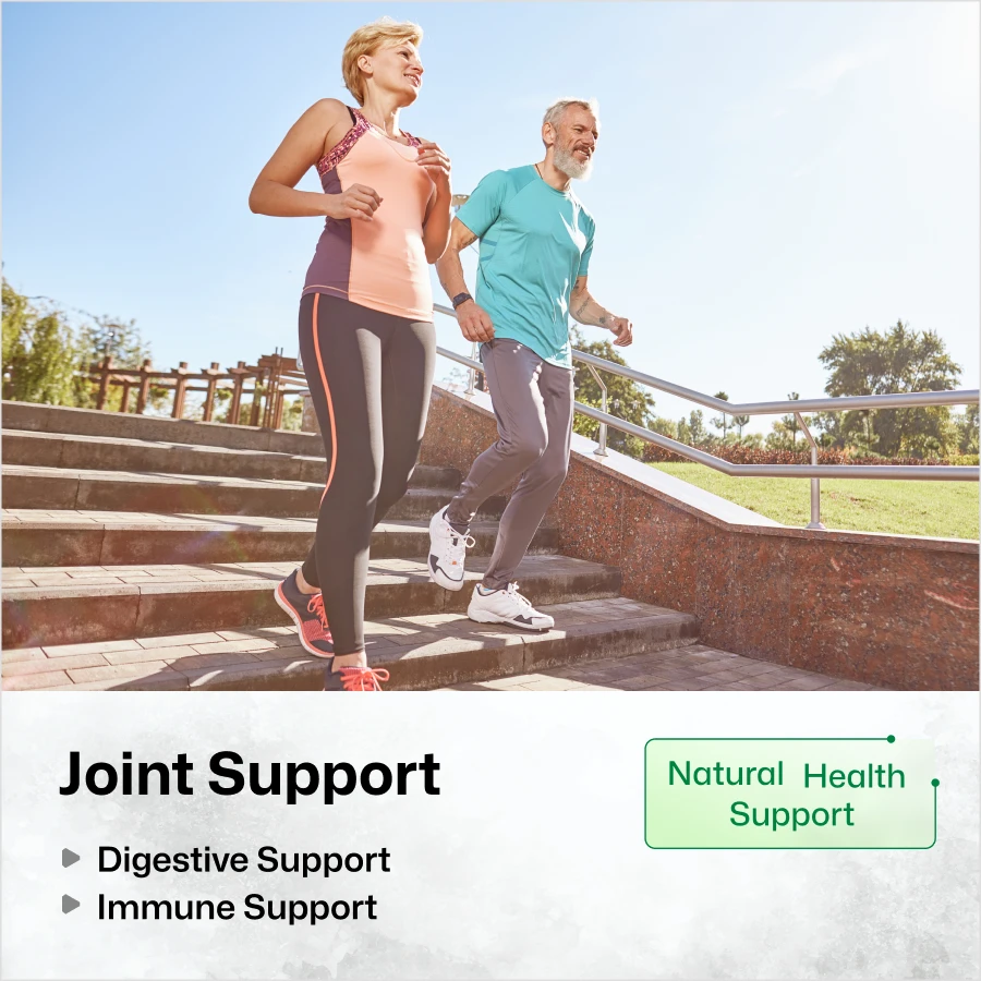 Boswellia Turmeric Supplements - 100 Capsules